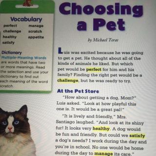 Choosing a pet