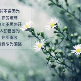 ［荔枝young榜］对浩然居士的转粉