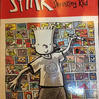 Stink（the incredible shrinking kid）