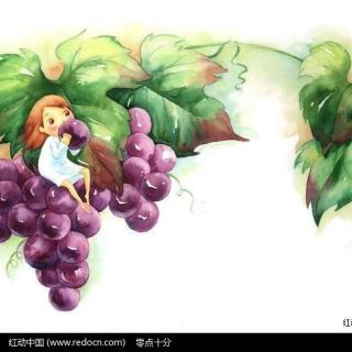 小猴吃葡萄