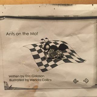 ants on the mat