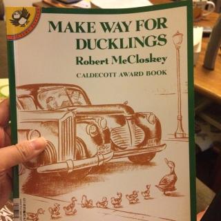 Make way for ducklings