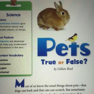 Pets，True or false？