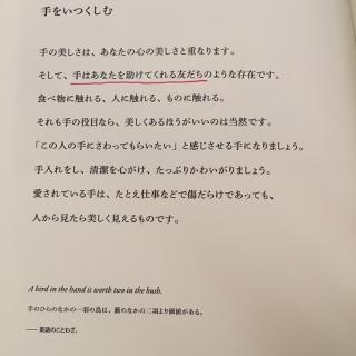 【33日目】手をいつくしむ 呵护你的手