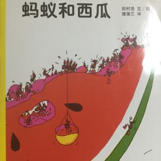 缤纷水果季-《蚂蚁和西瓜》