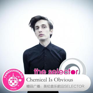 糖蒜爱音乐之The Selector:Chemical Is Obvious