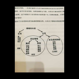 SEE技术的学习——如何完全消解无用情绪