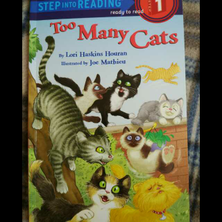 听绳子读分级读物 Too Many Cats