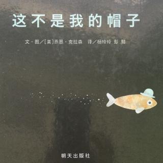 这不是我的帽子