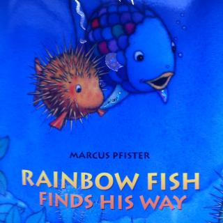 Rainbow fish finds his way-e