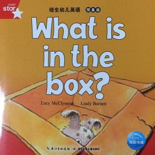 What is in the box?