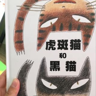 虎斑猫和黑猫