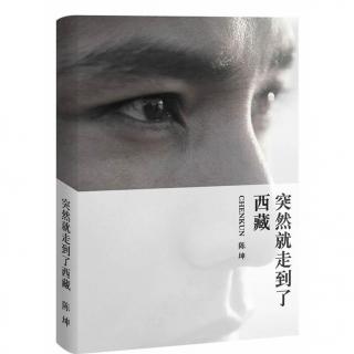 《突然就走到了西藏》《像雾像雨又像风》受了宝刚导演的刺激