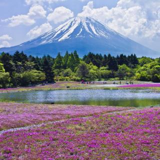 14、日本购物丨富士山下攻略