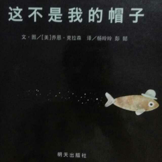 这不是我的帽子