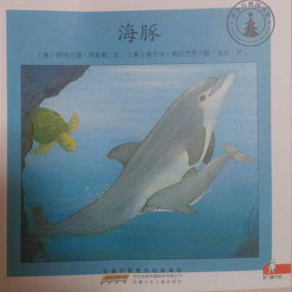 糖果讲故事第404期——海豚