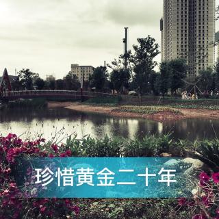 《珍惜您的~黄金20年》