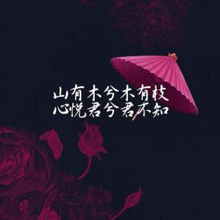 曾经，我这样爱过你