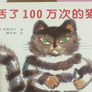 活了一百万次的猫