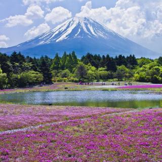 日本丨购物—富士山下