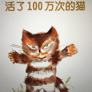 活了100万次的猫🐈