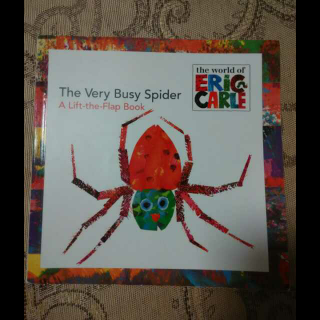 The very busy spider