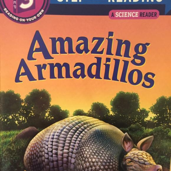 amazing armadillos-2