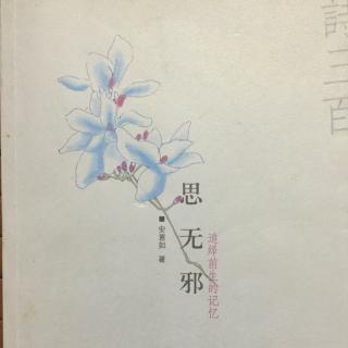 思无邪——昙花飞落，一年千年