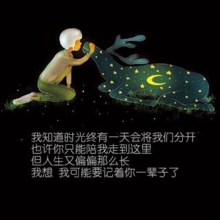 睡前歌曲:我见过最美的星星，是你的眼睛 