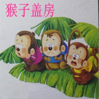 儿童故事------猴子盖房