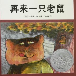 中文绘本《再来一只老鼠》