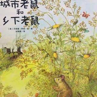 海豚绘本花园－城市老鼠和乡下老鼠