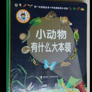 第一次发现丛书《小动物有什么大本领》