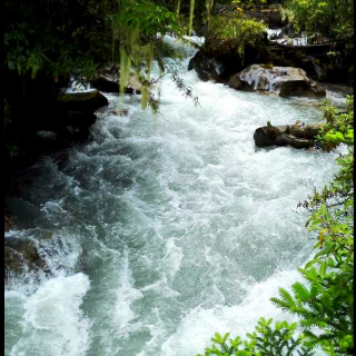 曲折亦风景