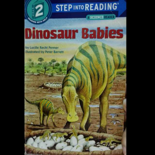 Dinosaur  Babies2