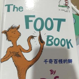 the foot book