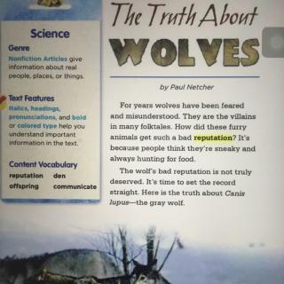 The truth about wolves