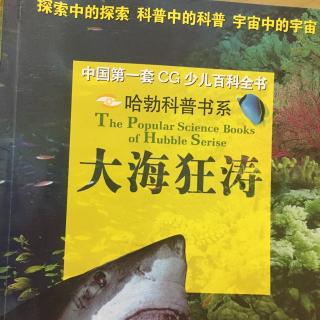 大海狂涛～海洋潮汐&海水为什么会着火？