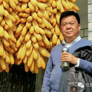 我不想