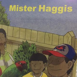 dd3-9 mister haggis