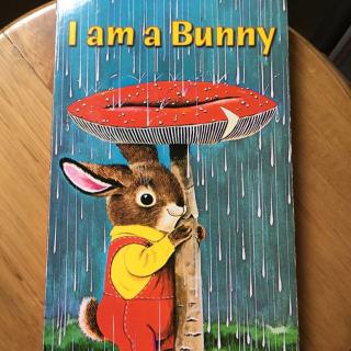 I am a bunny-英音