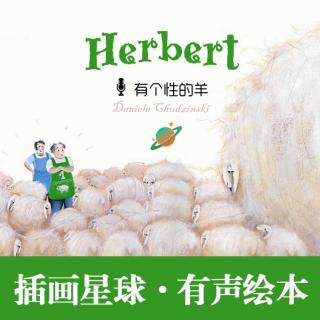 荒诞有趣的故事《有个性的羊》Herbert（插画星球主播：惟亮）