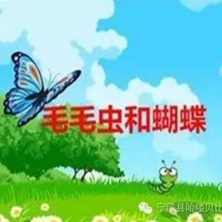 毛毛虫与蝴蝶