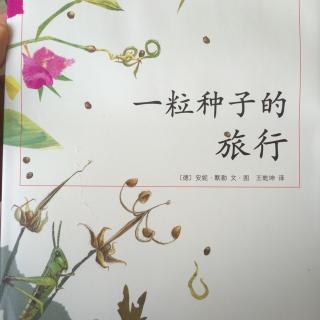 一粒种子的旅行