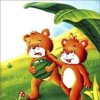 【第70期】懒熊买西瓜