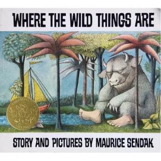 ‍where the wild things are（‍野兽国 ） 