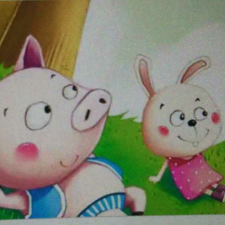 《胖小猪和小白兔》