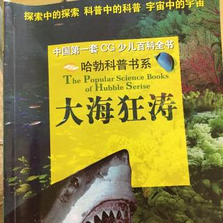 大海狂涛～海雾是如何形成的？疯狂的海啸