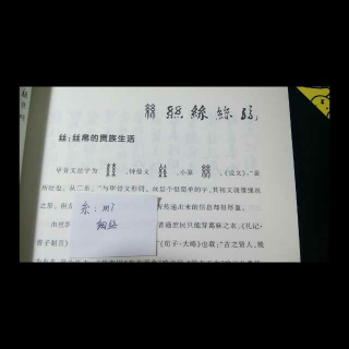 最美不过是汉字 23/100丝