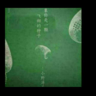 小野洋子-测验（Ⅰ-Ⅵ）